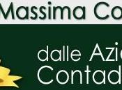 Cibo Salute: presentato primo extravergine della Dieta Mediterranea.