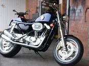 Harley "Edel Sportster" Cycles