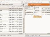 GNOME Commander, ottimo file manager pannelli