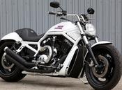 Harley "Beauty V-Rod" Land