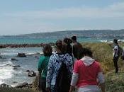 Crisi disoccupazione? scelta green: giovani finalmente protagonisti progetto "Riversea"