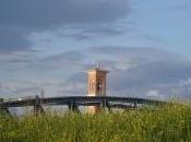 seggio campione