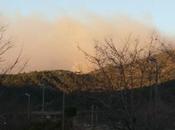 Riprende l’incendio bosco Gravina pericolo ettari vegetazione