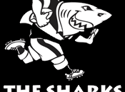 Super Rugby: Sharks lasciano indietro Bulls (32-10)