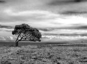 Preghiera d’un savio centenario