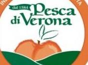 Pesca Verona