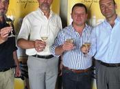 giallo Castel Beseno