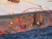 Costa Concordia: operazioni rimozione scoglio nave Rassegna Stampa D.B. Cruise Magazine
