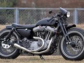 Harley Sportster 1200 Indigo Custom Cycle