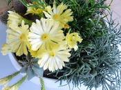 terrazzo c'è........