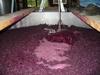Fermentazione vino rosso