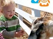 Conoscete agriturismo.it? settembre bimbi gratis