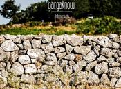 Fotogallery Gargano: Carpino Vico Gargano