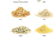 Cereali Legumi