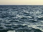 DEUS, Following