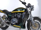 Kawasaki 1100 Style" RF-Biketech