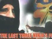 Ninja terminator