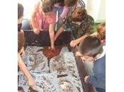 Scienza divertente: minuti Paleontologo Biologo