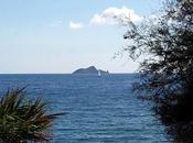 island Coalho