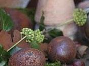 Decorazioni d'autunno