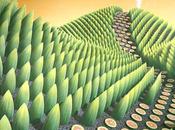 Patterns dipinti maestria ‘psychedelic gardens’ patricia lubeck