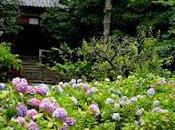 Ultimo lunedì questo magico luglio