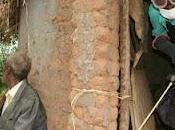 Ebola, alcune annotazioni