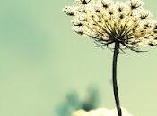 Fate questo esperimento...