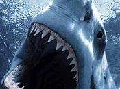 Toscana: aggira squalo bianco? Avvistamento Vada, pressi delle Spiagge Bianche