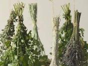 DIY: essiccatoio sospensione