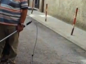 Accalappiacani catanzaro strangolano cane indifeso (video sconsigliato pubblico sensibile)