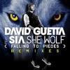 David Guetta feat. Wolf(Falling Pieces) Video Testo Traduzione