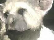 Scade marchio "The Last Guardian", gioco ancora rischio cancellazione