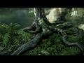 Crysis nuovo trailer dimostrativo CryEngine