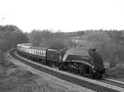 Storie (VIII). "L'anniversario..."