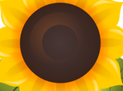 SunFlower File Manager opensource leggero, giovane potente sistemi operativi Linux.