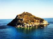 P-log: chiacchiere liberta'