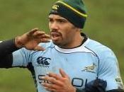 Rugby Championship: Habana Bekker, dubbi sudafricani Pumas