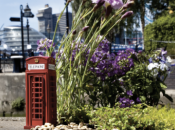 Steve wheen ‘giardinaggio nelle buche’