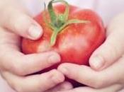 pomodori fanno bene, solo quelli maturi