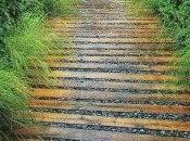 Pavimentazioni giardino