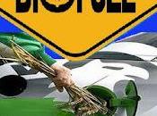 Biofuel, soluzione dimezza costi carburante!