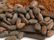 Cacao: alleato contro l'invecchiamento cervello