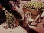 Impossible opacification test px680 px70