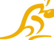 Rugby Championship: Wallabies Springbocks
