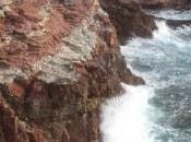 Tragedia mare Terrasini. Giallo sulla morte giovani