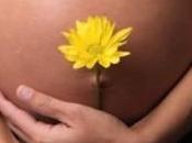 L’acido folico, vitamina indispensabile gravidanza
