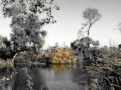 natura punto vista Antonio Uridales