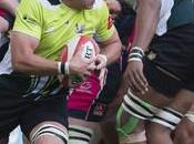 Currie Cup, ingolfata vertice