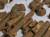 Sono medioevali ossa Giovanni Persiceto, vittime partigiane